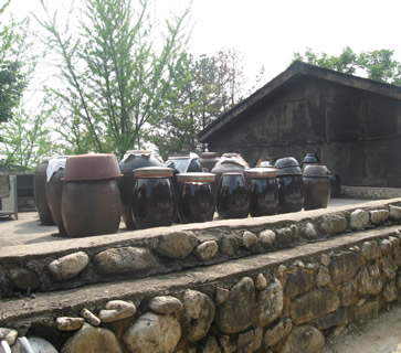 Kimchi Jars on a Roof